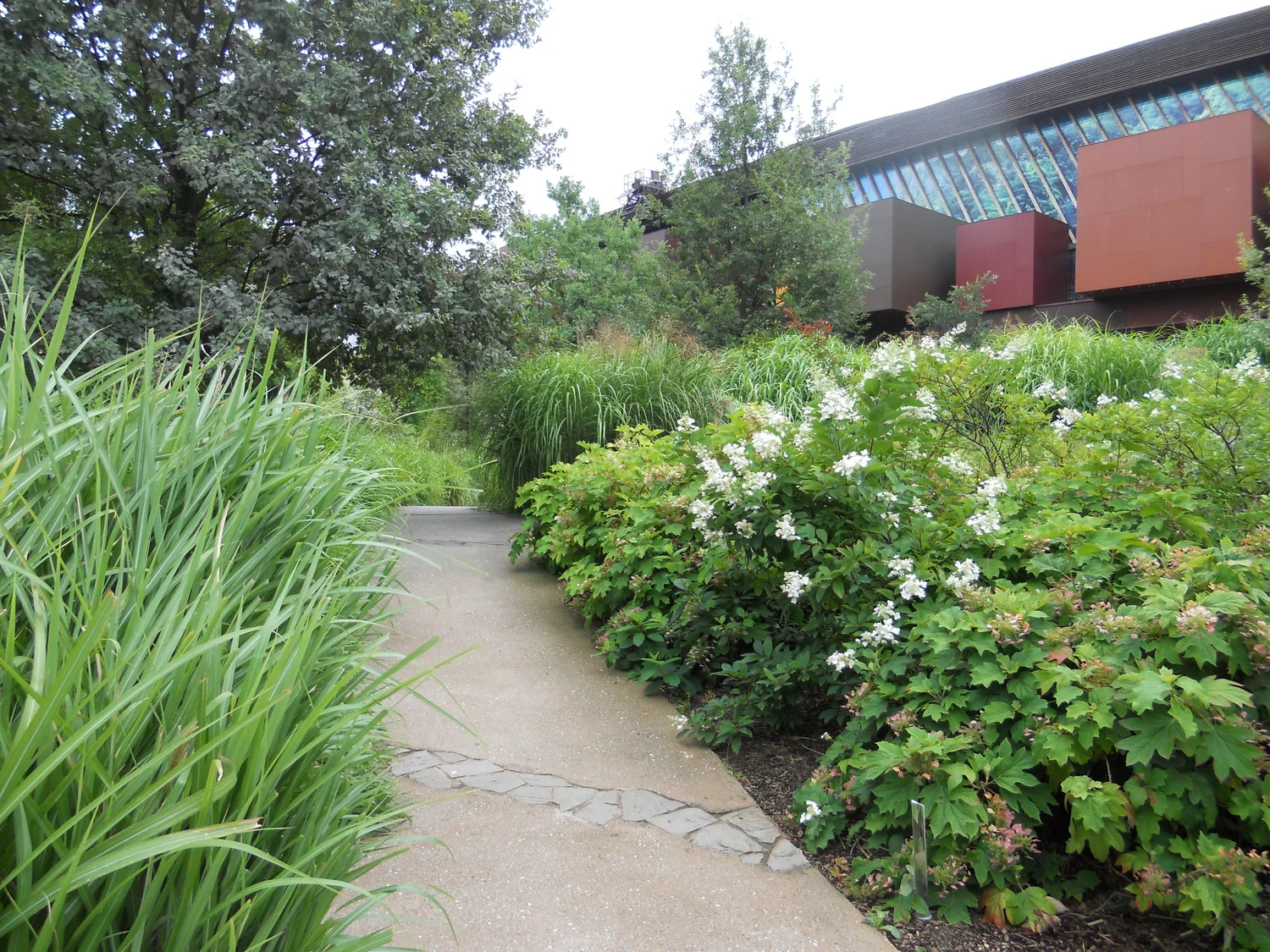 Gardens at Musee Branly