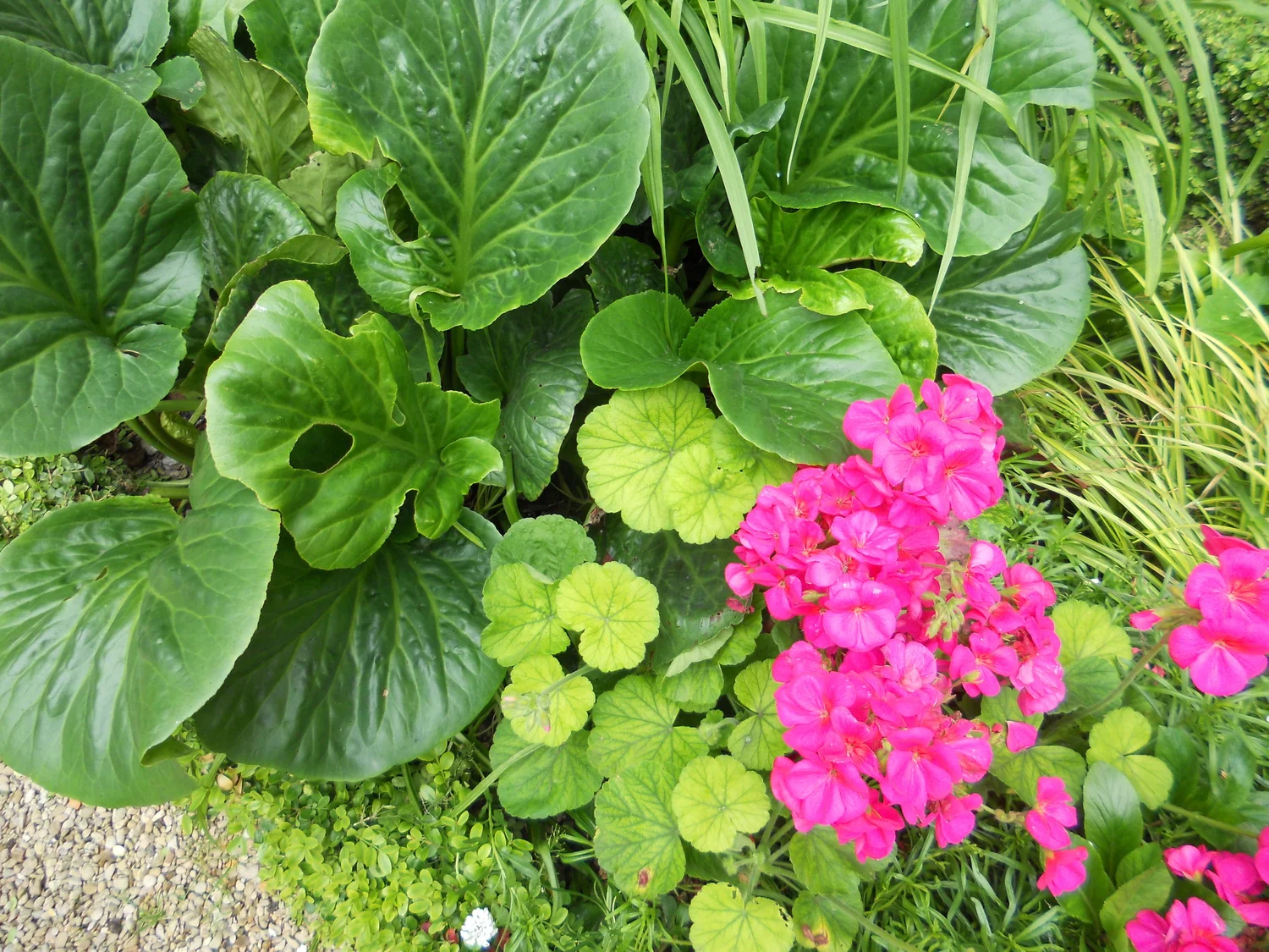DSCN5048_1715.JPG