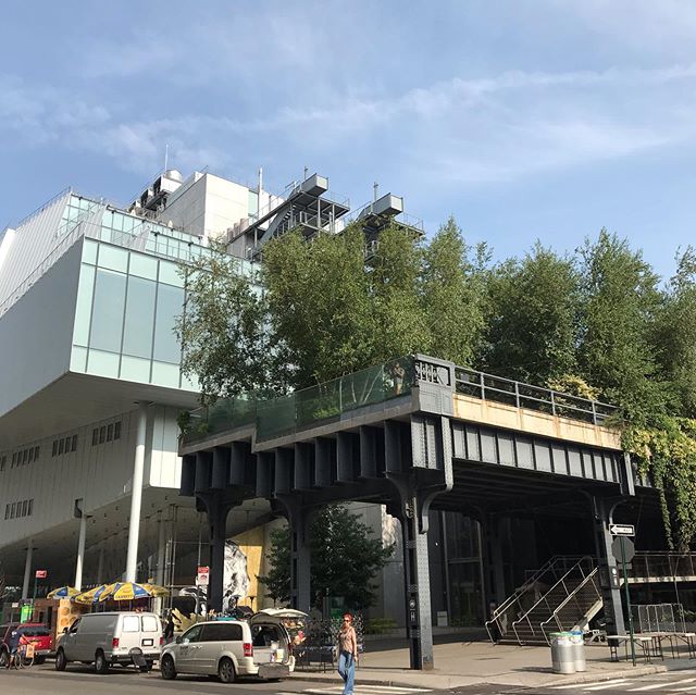 More NYC with @millionwalker  and #highlinenyc morning walk with coffee. Bees 🐝 of all sorts in the coneflowers and liatris, birch and redbud throwing shade. 2019 marks 10 years for the High Line what a wonderful place to see naturalistic design in the big city #landscape #bees #gardening #landscapearchitecture