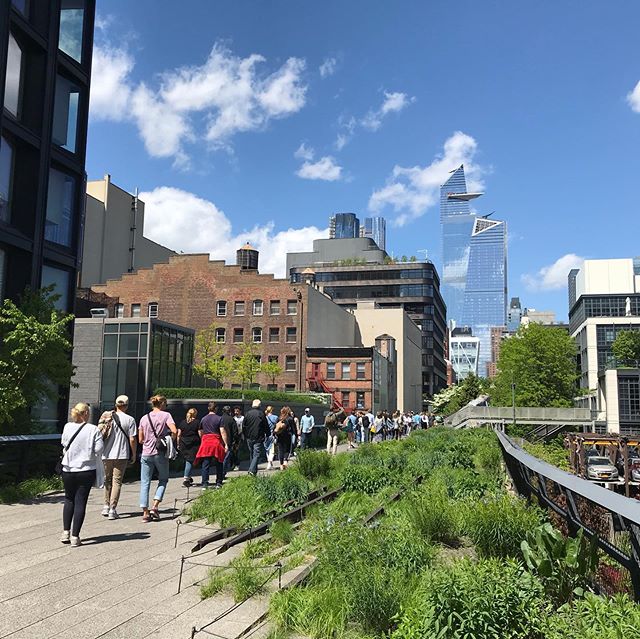 It’s National Public Gardens Week, sponsored by the American Public Gardens Association, and there are events happening all around the country. I visited two very different public gardens in New York City, the High Line #highlinenyc and the Conservatory Garden at Central Park. Swipe to see the contrast between these spaces, one crowded and the other quiet and contemplative with a huge wisteria arbor dripping with purple blooms. Love the advocacy work 🥰 @americanpublicgardens #publicgarden #highlinenyc #conservancygardencentralpark #landscape #gardendesign #gardens #horticulture