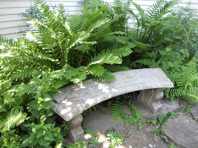 How can we make our outdoor spaces more restorative and welcoming? Next week I’ll be giving a talk on Creating Garden Sanctuary at Yoga Roots in Williston following a yoga class designed to build our strength for the season ahead. Thanks @yogarootsvt for this opportunity and for hosting my photo show too!
Link on bio for details 🌸 #landscapedesign #gardens #vermontgardener #restore #outdoors #relax