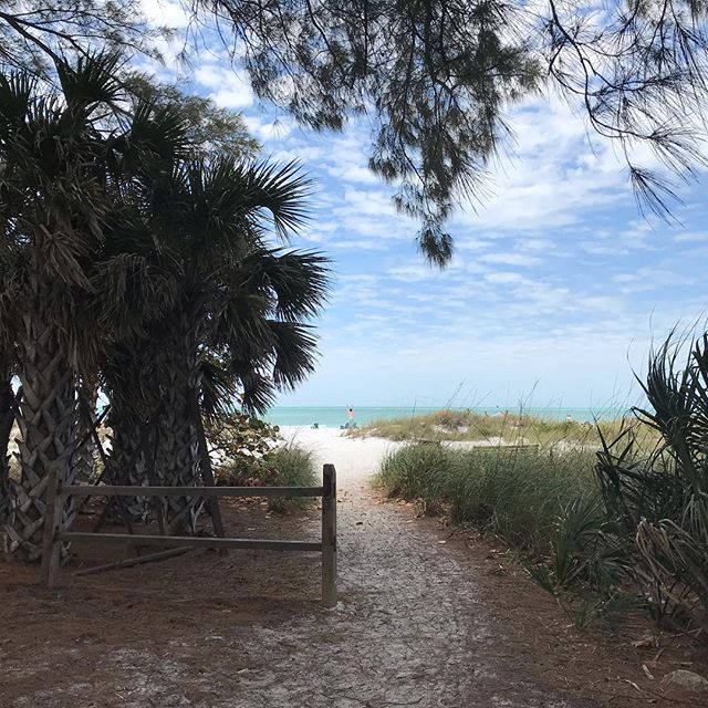 The pull to go through and beyond, to go just a little farther along the path into another beautiful scene... why I love to travel 🙌 #gotaway #outdoors #landscapephotography #tropical #travel #gulfcoast